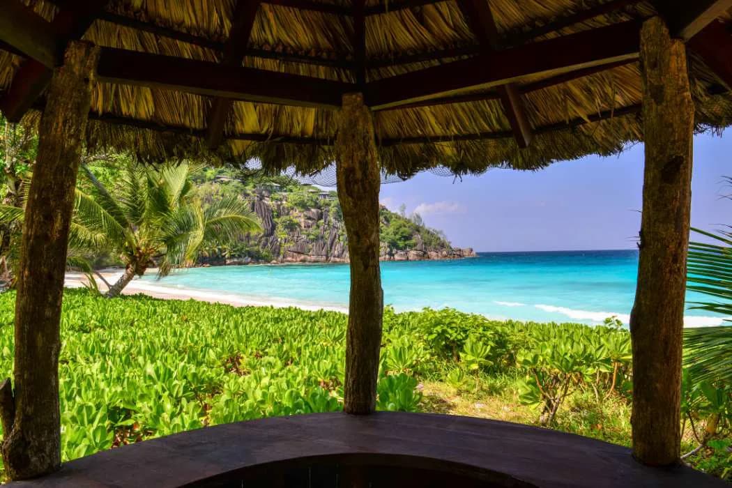 Mundo's top pics in the corporate world: Seychelles company