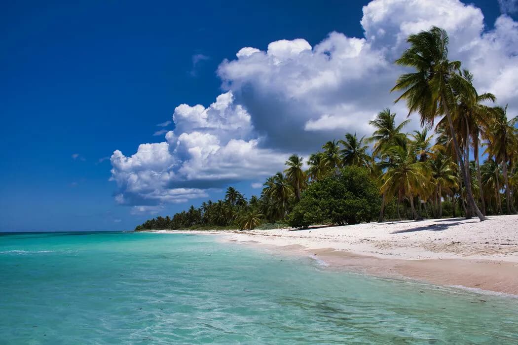 Why Vanuatu Remains A Leading Choice In The Asia-Pacific Region